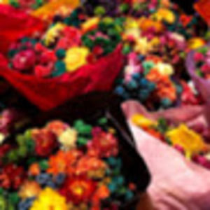 Meet your Posher, Britt